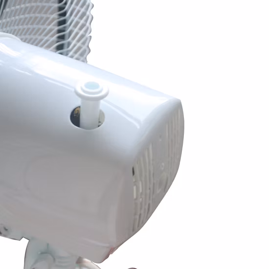 Stand Fan 220V Pedestal Fan DC Motor -Free Speed -Regulating Frequency